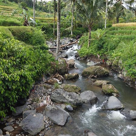 Graha Ayoe Villa ซิเดอมัน ภายนอก รูปภาพ