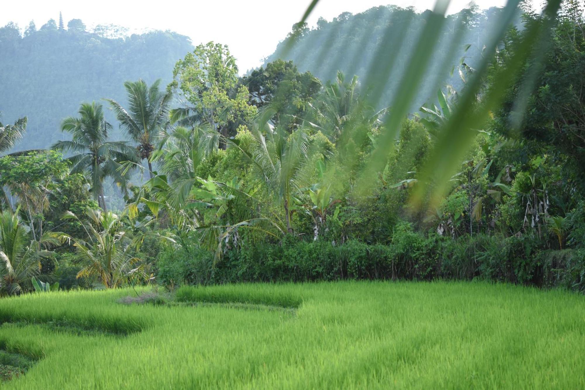 Graha Ayoe Villa ซิเดอมัน ภายนอก รูปภาพ
