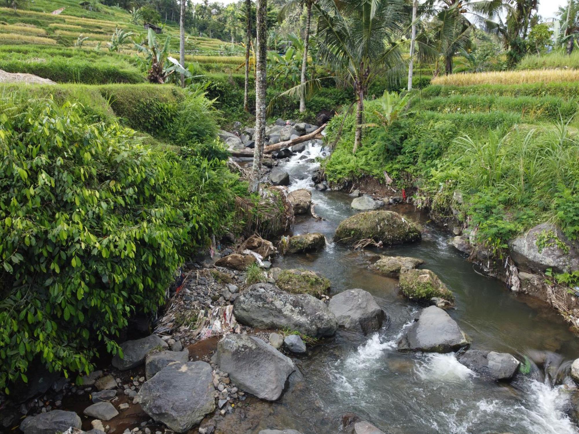 Graha Ayoe Villa ซิเดอมัน ภายนอก รูปภาพ
